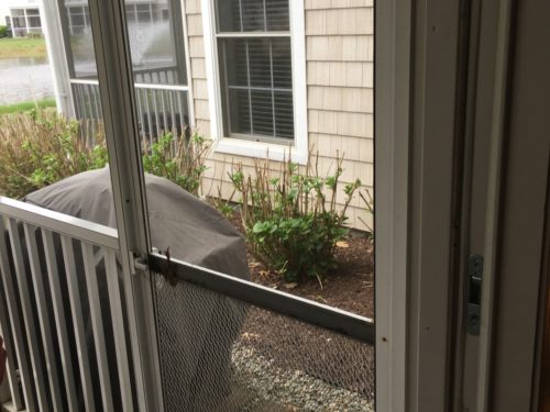 Cheap Builder Grade Screen Door