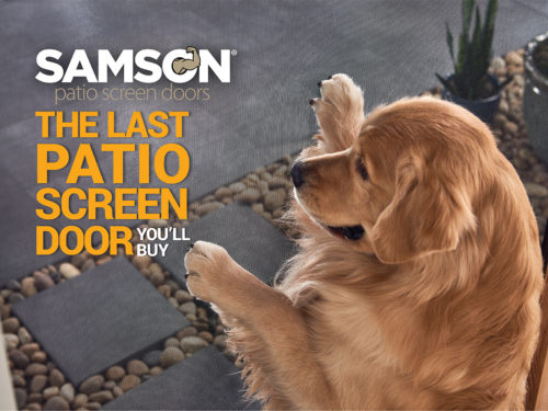 Samson Dog2