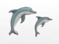 Figurines Dolphin