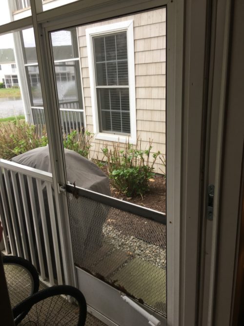Cheap Builder Grade Screen Door