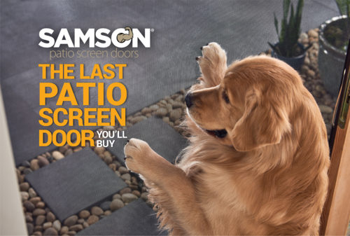 Samson Dog2