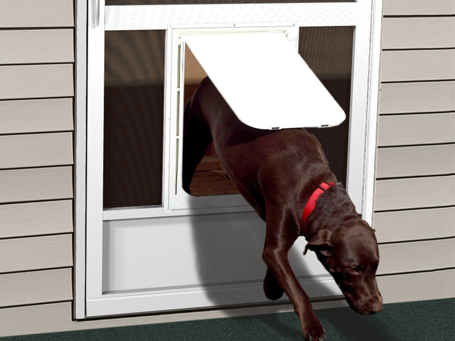 Pet Doors Screen Door With Dog Pca S - Patio Screen Door With Built In Doggie